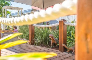 Andergrove_0000_DSC09989