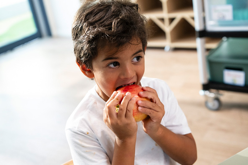 Boy eating an apple