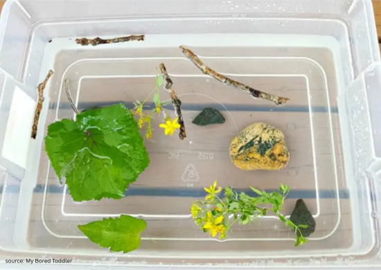 Sink or float science activity for toddlers